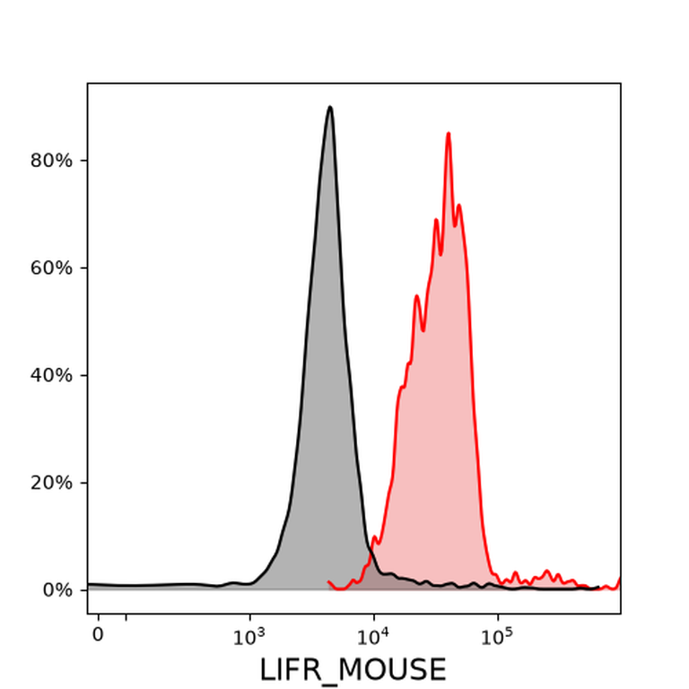 Ankyron LIFR_MOUSE Clone AU41025