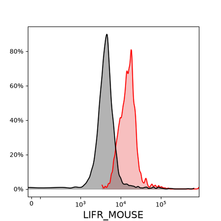 Ankyron LIFR_MOUSE Clone AU41029
