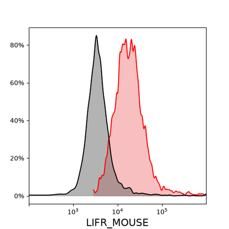 Ankyron LIFR_MOUSE Clone AU41027