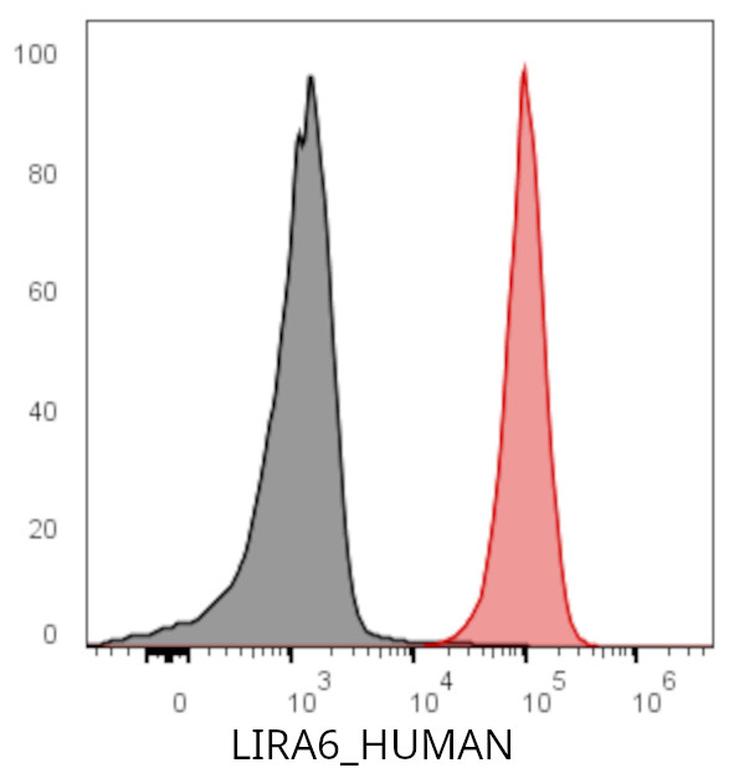 Ankyron LIRA6_HUMAN Clone DI40562