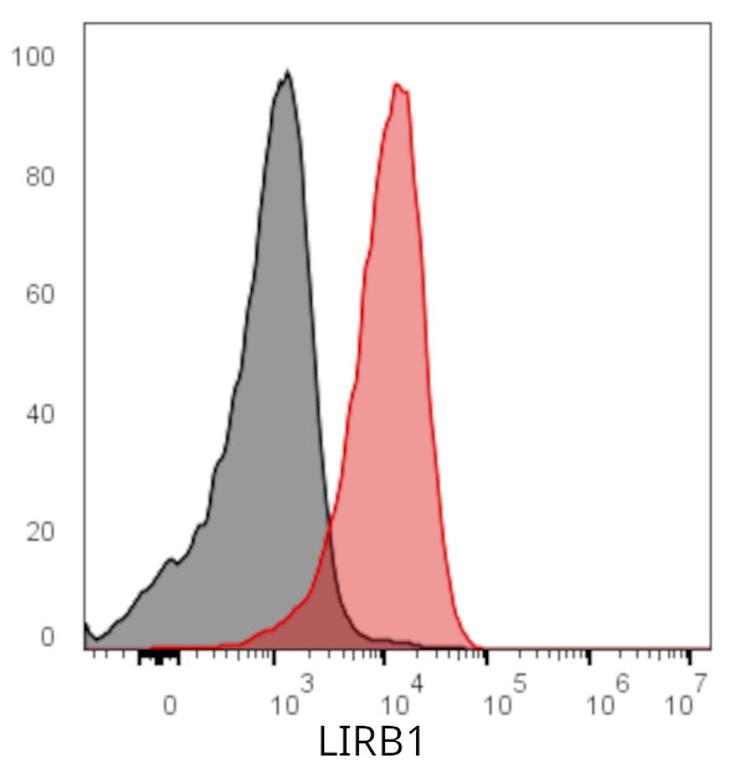 Ankyron LIRB1_HUMAN Clone DQ41010