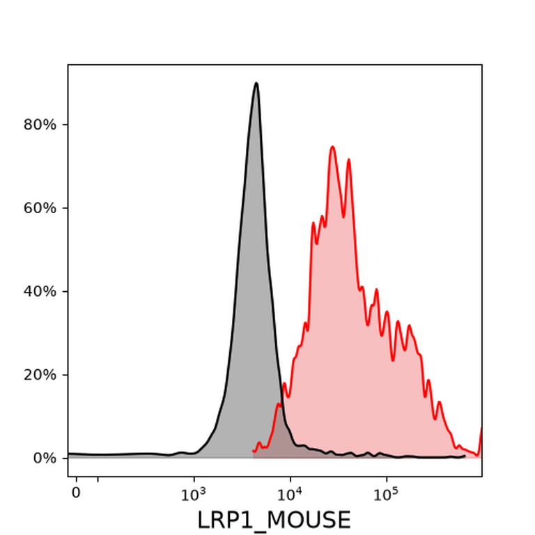 Ankyron LRP1_MOUSE Clone FD40235