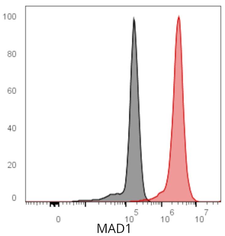 Ankyron MAD1_HUMAN Clone ED30162