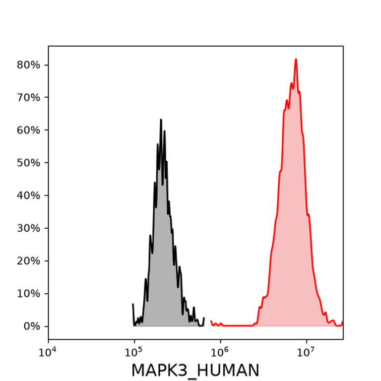 Ankyron MAPK3_HUMAN Clone DP41101