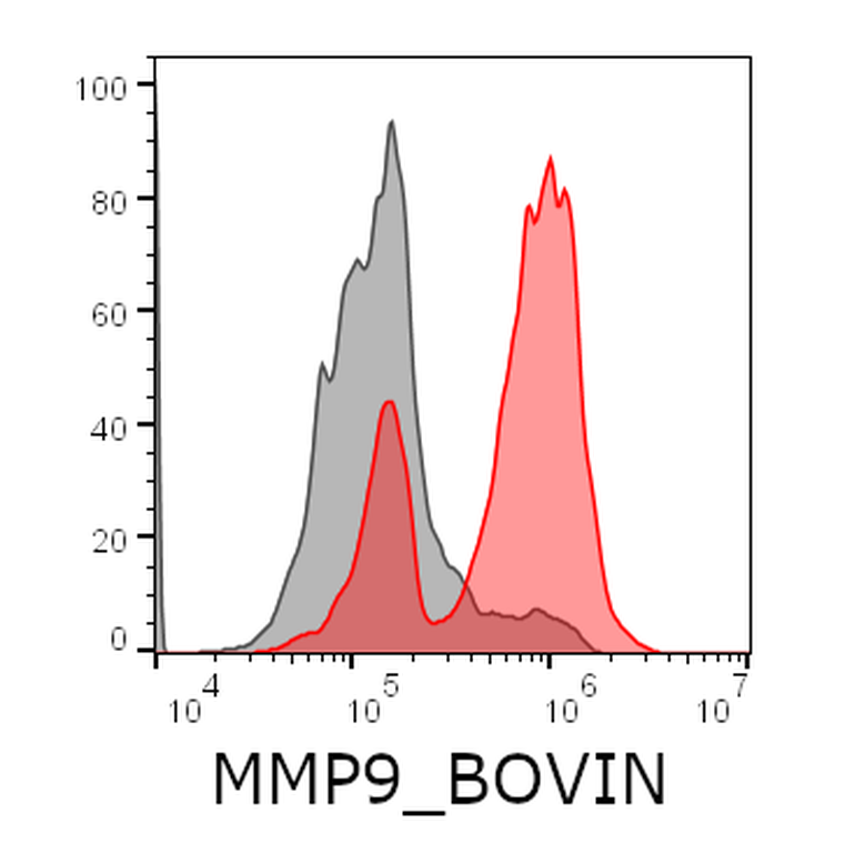 Ankyron MMP9_BOVIN Clone FY40174