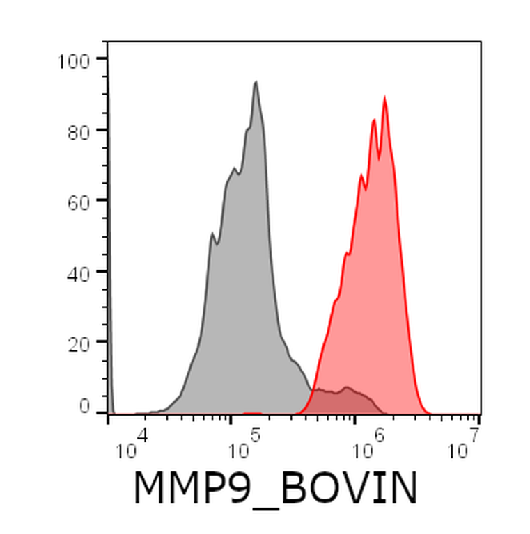 Ankyron MMP9_BOVIN Clone FY40171