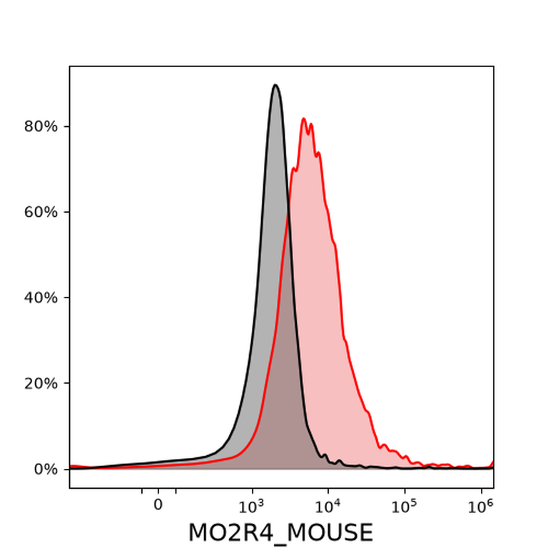 Ankyron MO2R4_MOUSE Clone DB40223