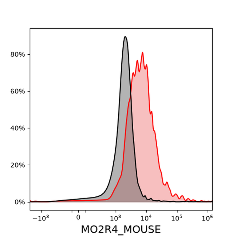 Ankyron MO2R4_MOUSE Clone DB40216