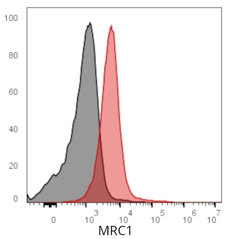 Ankyron MRC1_HUMAN Clone DS40307