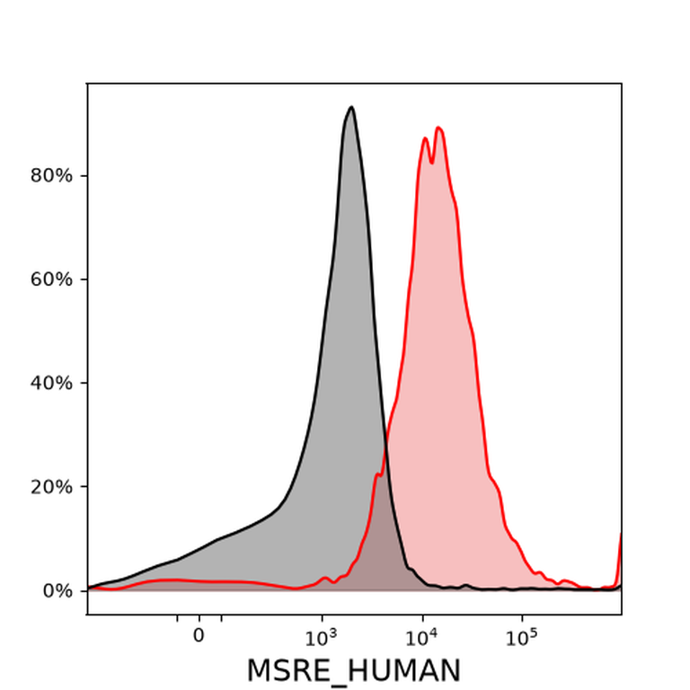 Ankyron MSRE_HUMAN Clone CH30538