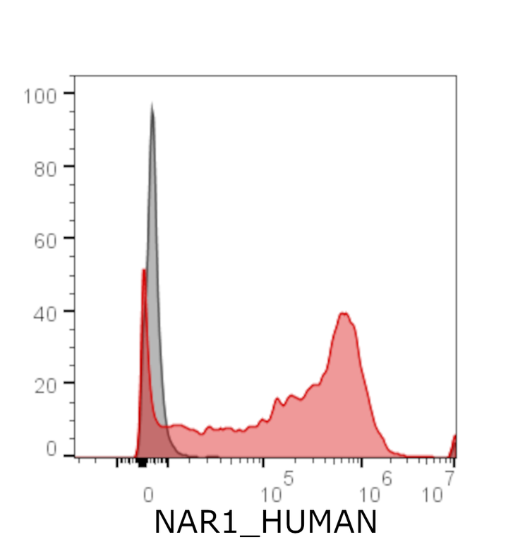 Ankyron NAR1_HUMAN Clone CU30562
