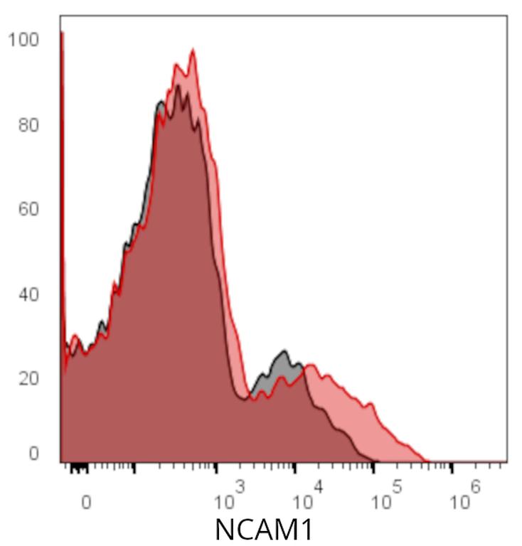 Ankyron NCAM1_HUMAN Clone BR40555