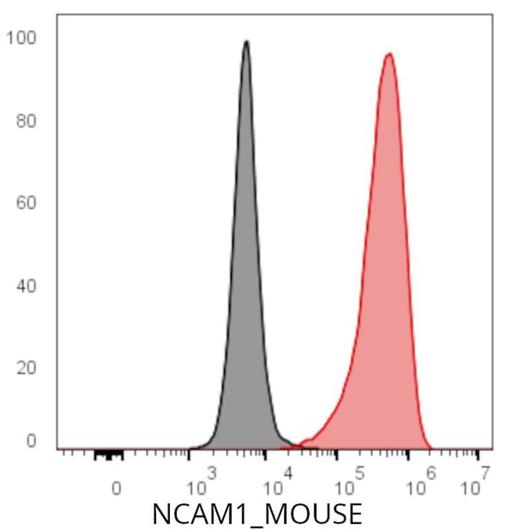 Ankyron NCAM1_MOUSE Clone BS40442