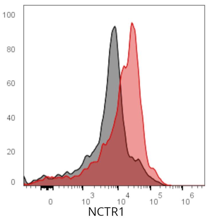 Ankyron NCTR1_HUMAN Clone CO40283