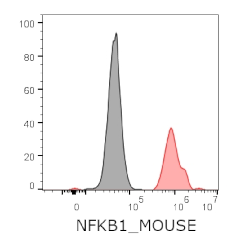 Ankyron NFKB1_MOUSE Clone CO40675