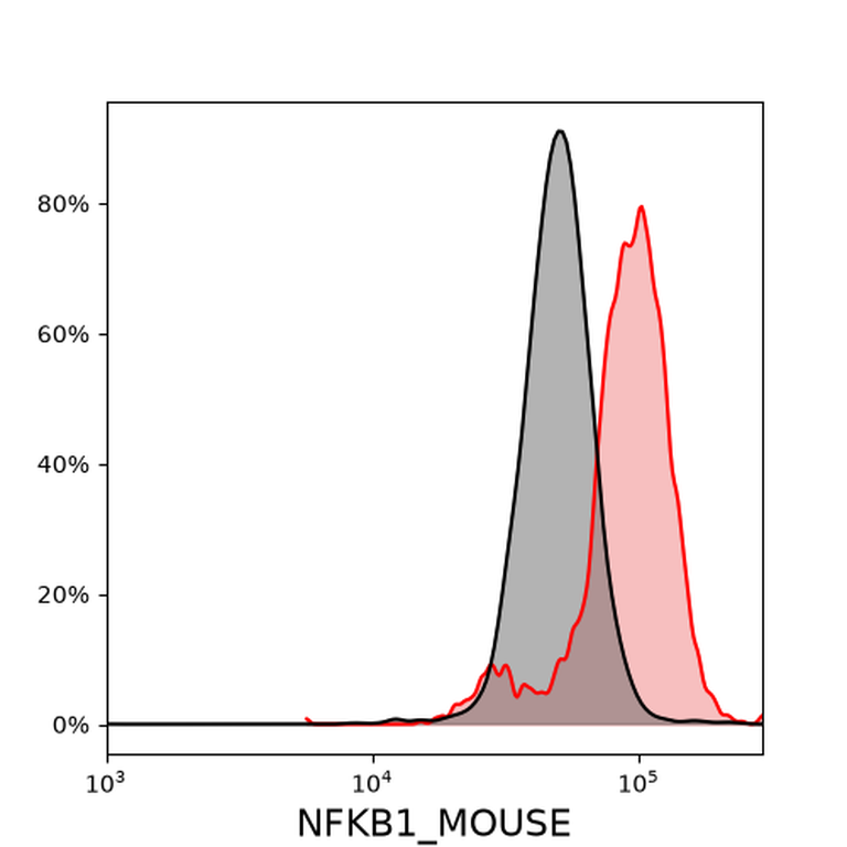 Ankyron NFKB1_MOUSE Clone CO40663