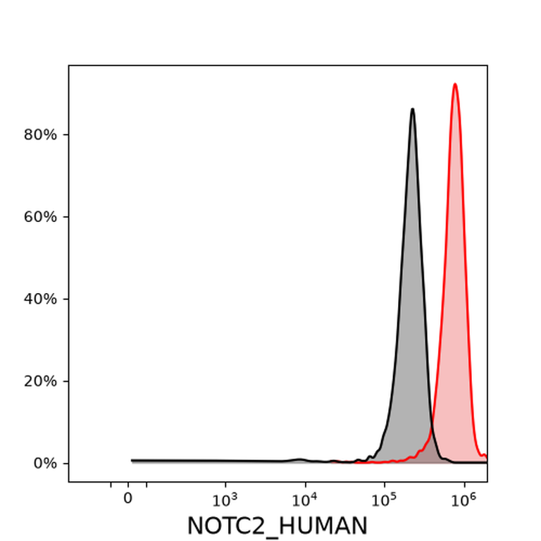 Ankyron NOTC2_HUMAN Clone BT40345