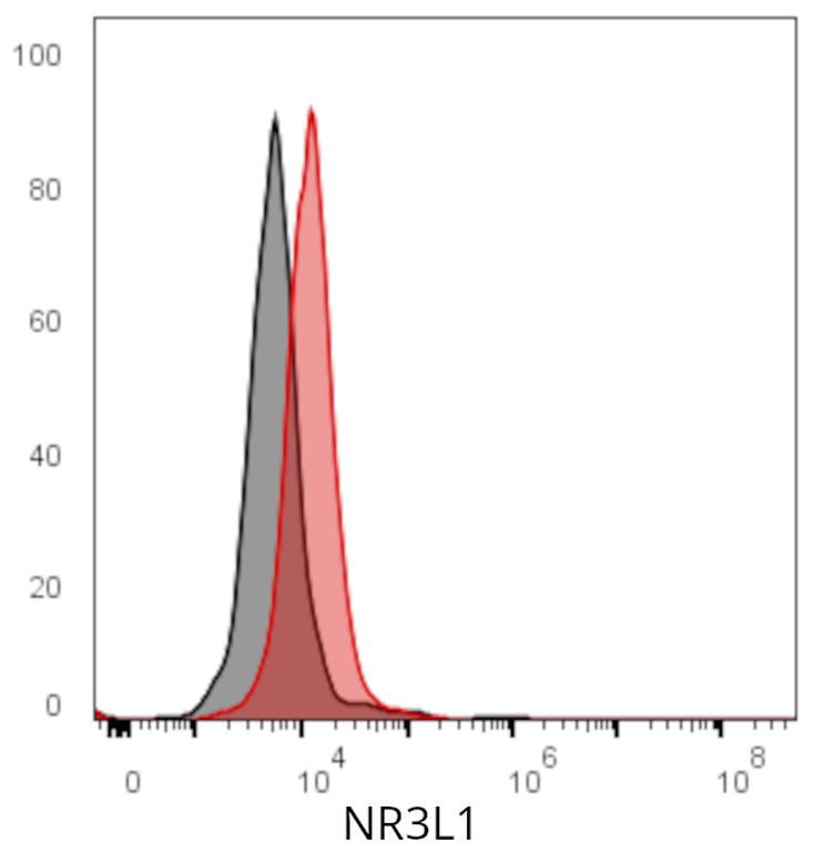 Ankyron NR3L1_HUMAN Clone AC40122
