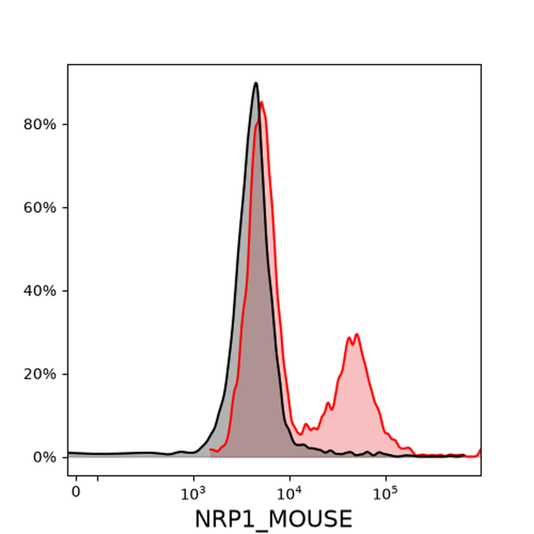 Ankyron NRP1_MOUSE Clone BS40583