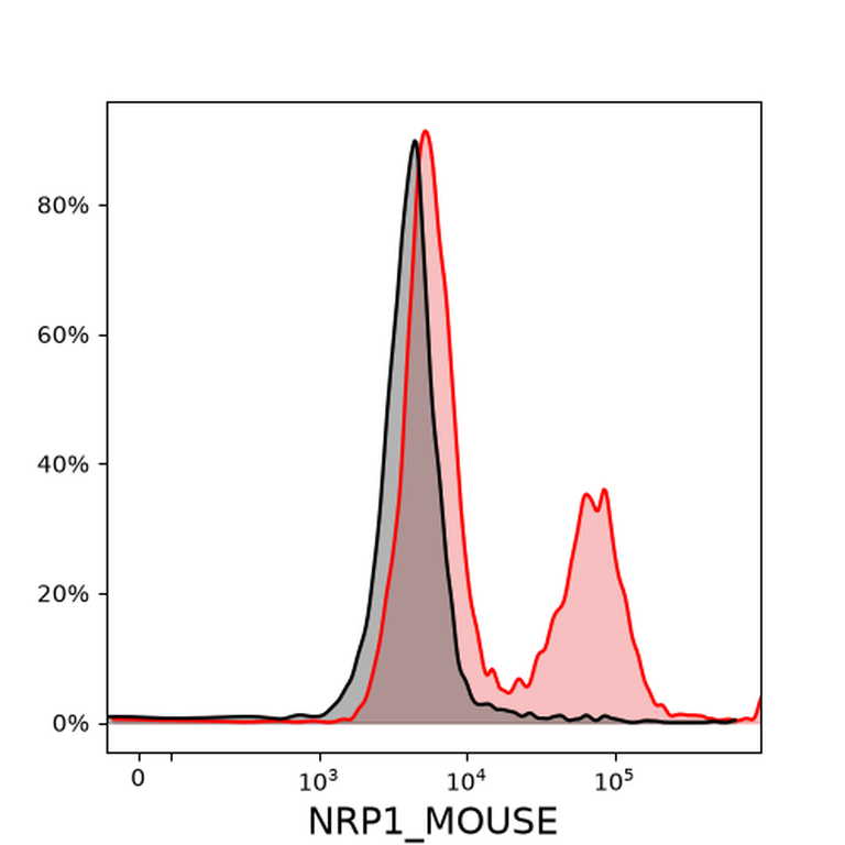 Ankyron NRP1_MOUSE Clone BS40587