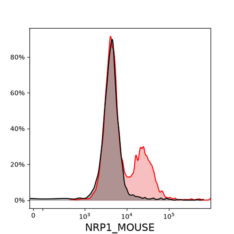 Ankyron NRP1_MOUSE Clone BS40584