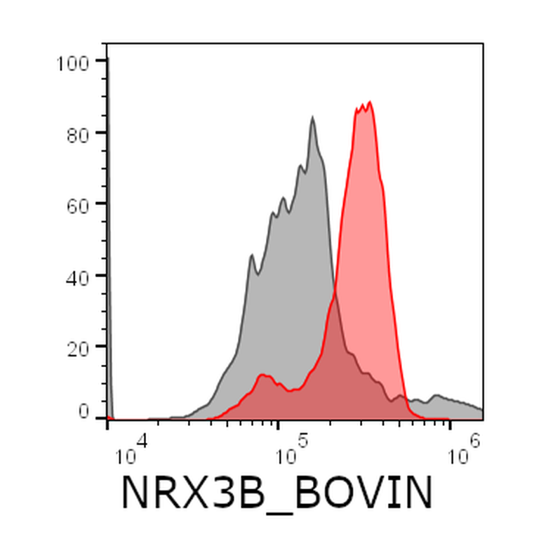 Ankyron NRX3B_BOVIN Clone FC40586