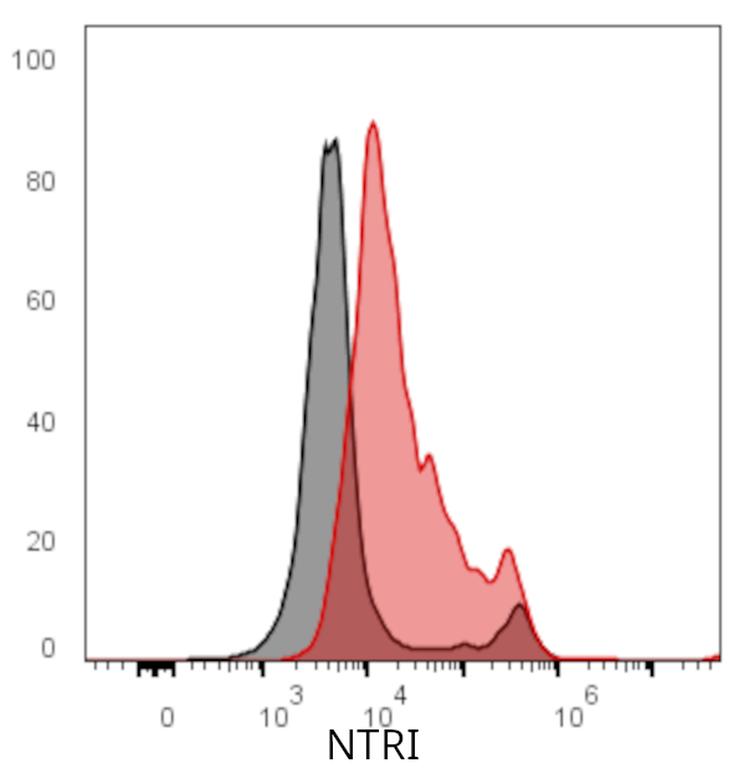 Ankyron NTRI_HUMAN Clone AO40528