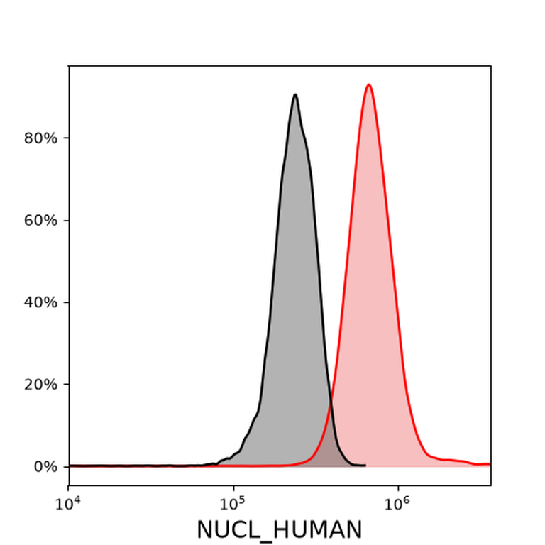 Ankyron NUCL_HUMAN Clone FN40359