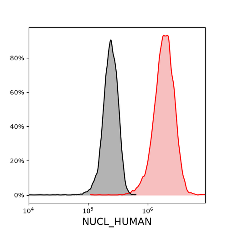 Ankyron NUCL_HUMAN Clone FN40367