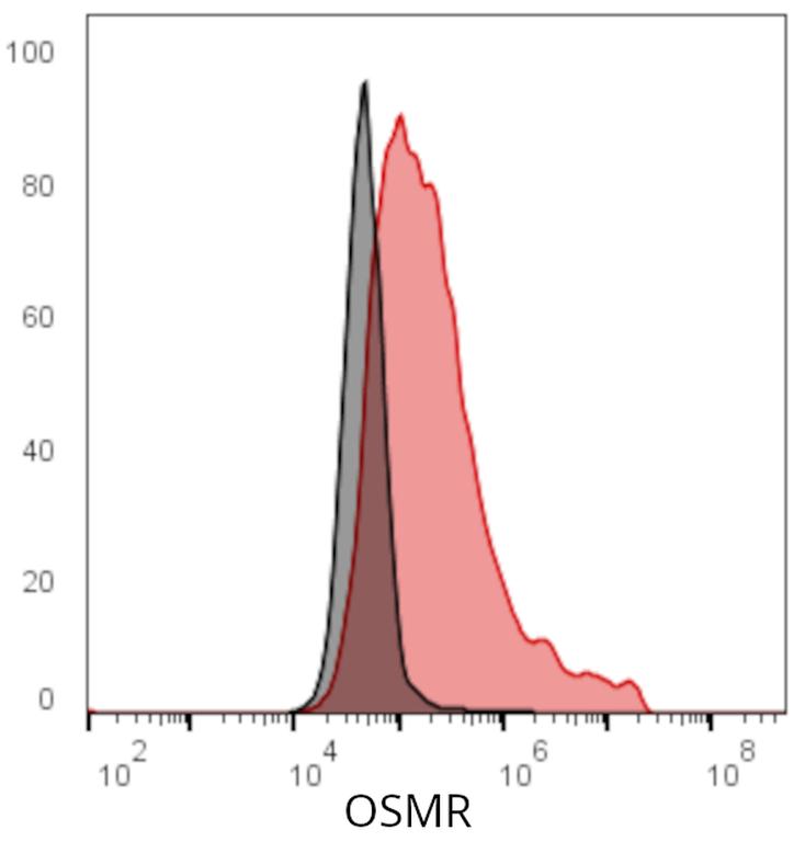 Ankyron OSMR_HUMAN Clone CI30365