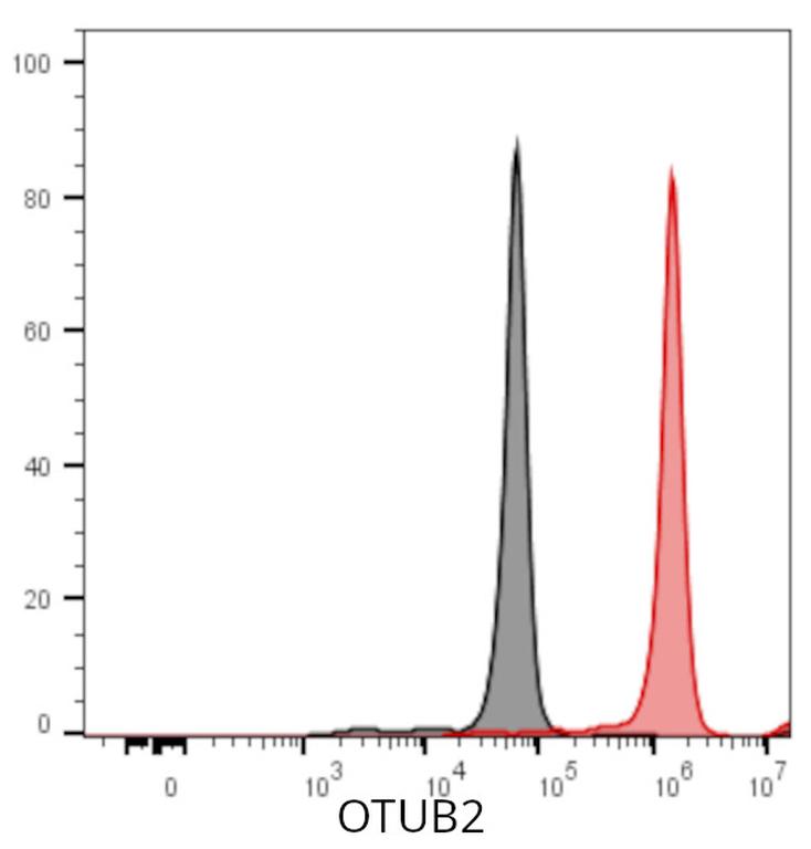 Ankyron OTUB2_HUMAN Clone AW40770