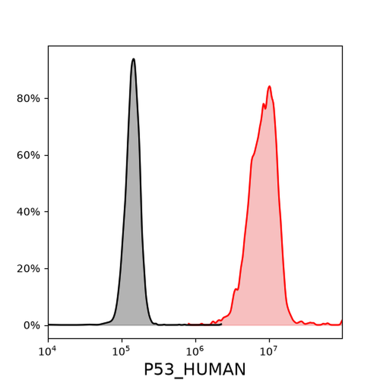 Ankyron P53_HUMAN Clone BT40411