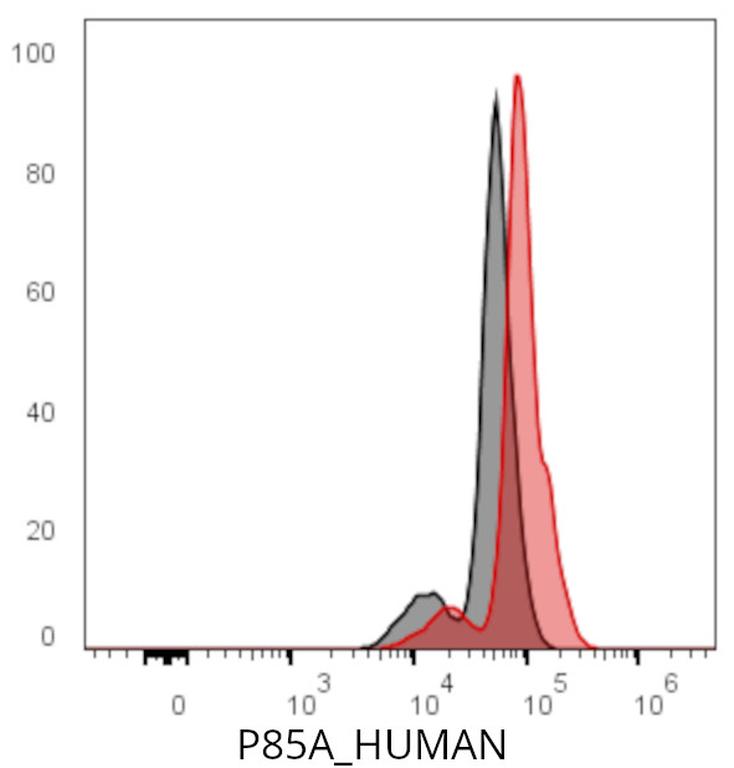 Ankyron P85A_HUMAN Clone CK30391