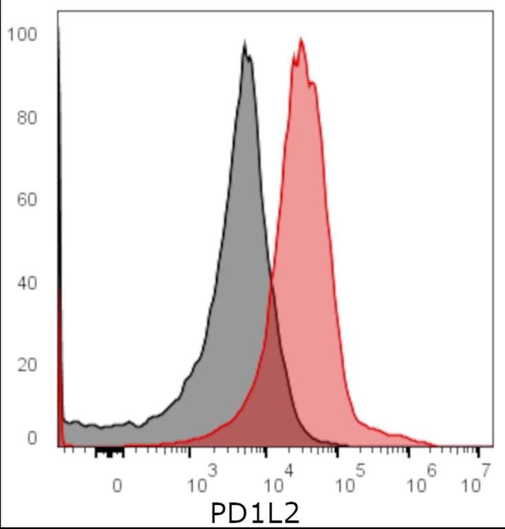 Ankyron PD1L2_HUMAN Clone AB30222