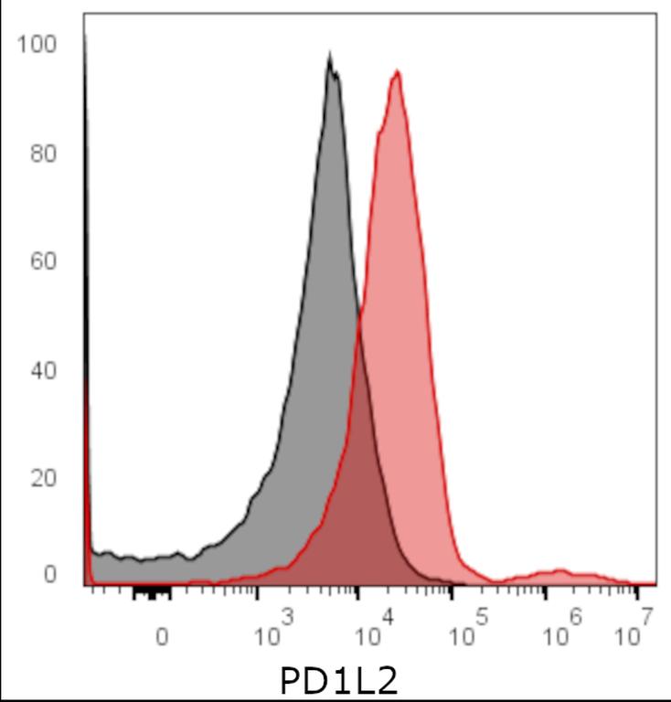 Ankyron PD1L2_HUMAN Clone AB30218