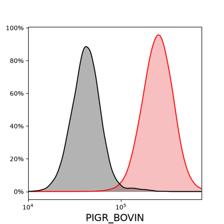 Ankyron PIGR_BOVIN Clone FC40290