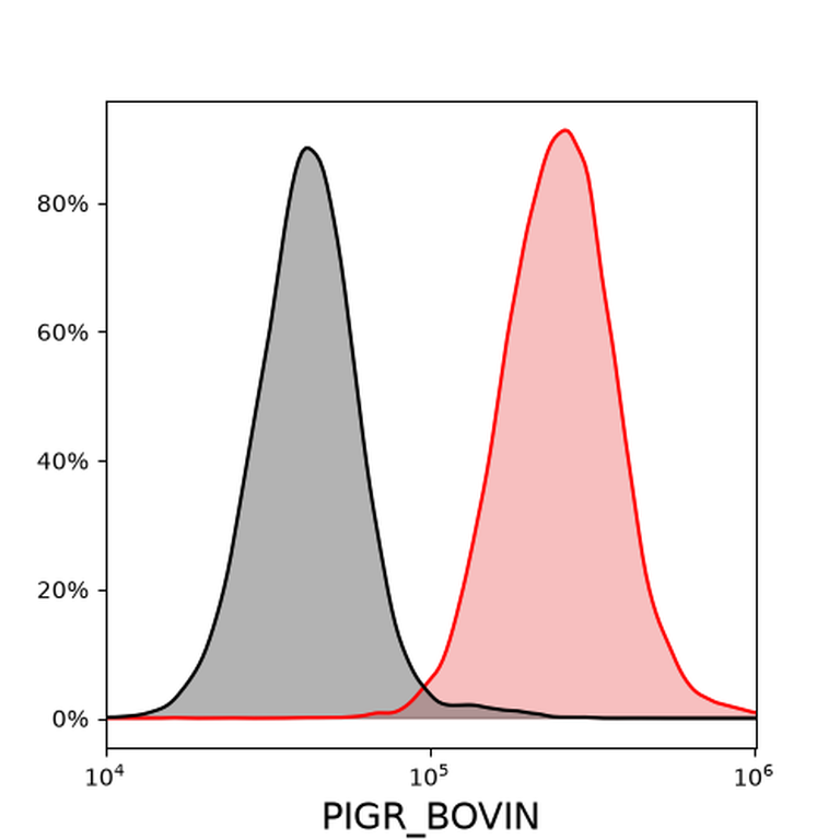 Ankyron PIGR_BOVIN Clone FC40294