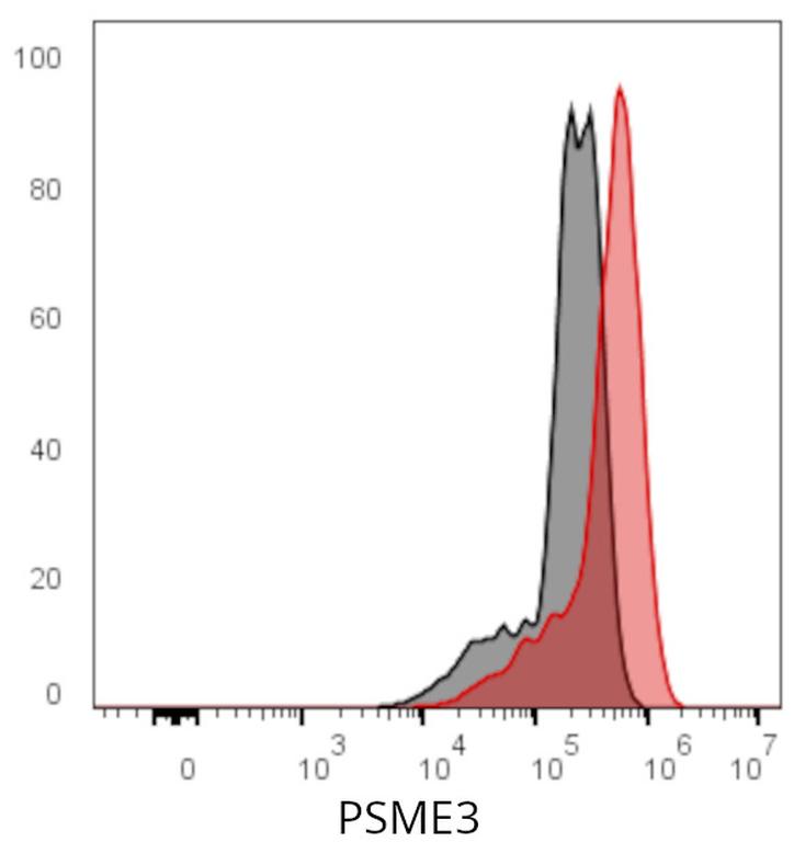 Ankyron PSME3_HUMAN Clone CS30492