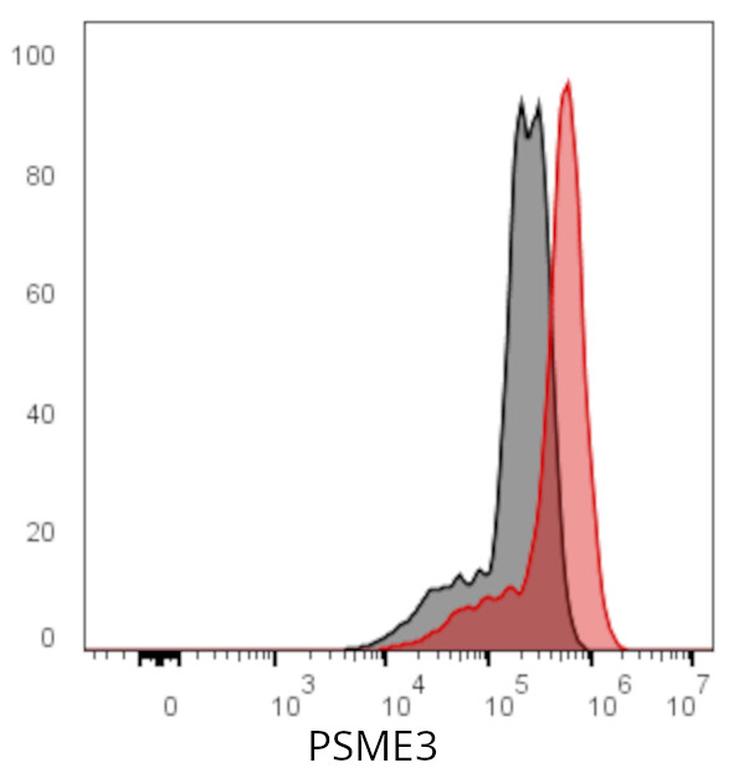 Ankyron PSME3_HUMAN Clone CS30504