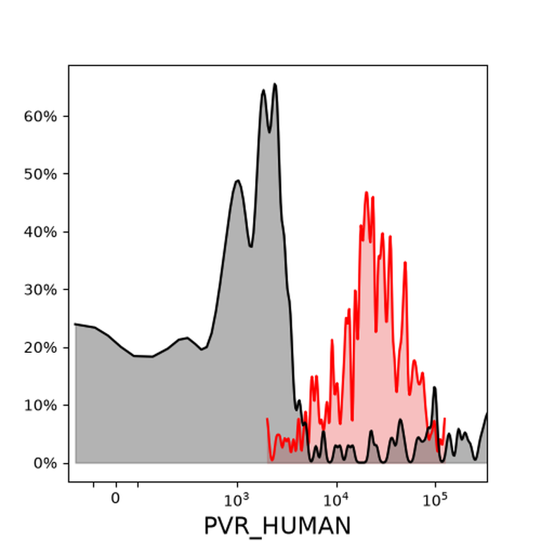 Ankyron PVR_HUMAN Clone AE40139