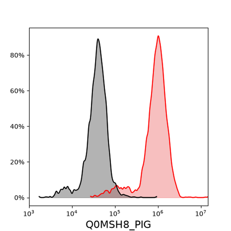 Ankyron Q0MSH8_PIG Clone CX40475