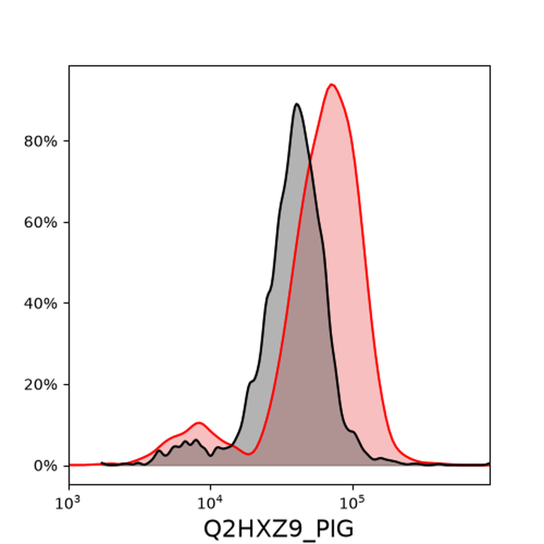 Ankyron Q2HXZ9_PIG Clone CX40457