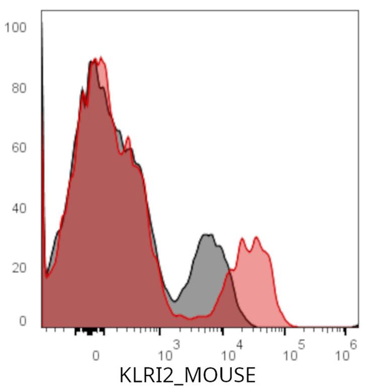 Ankyron Q3U0M3_MOUSE Clone CT30825