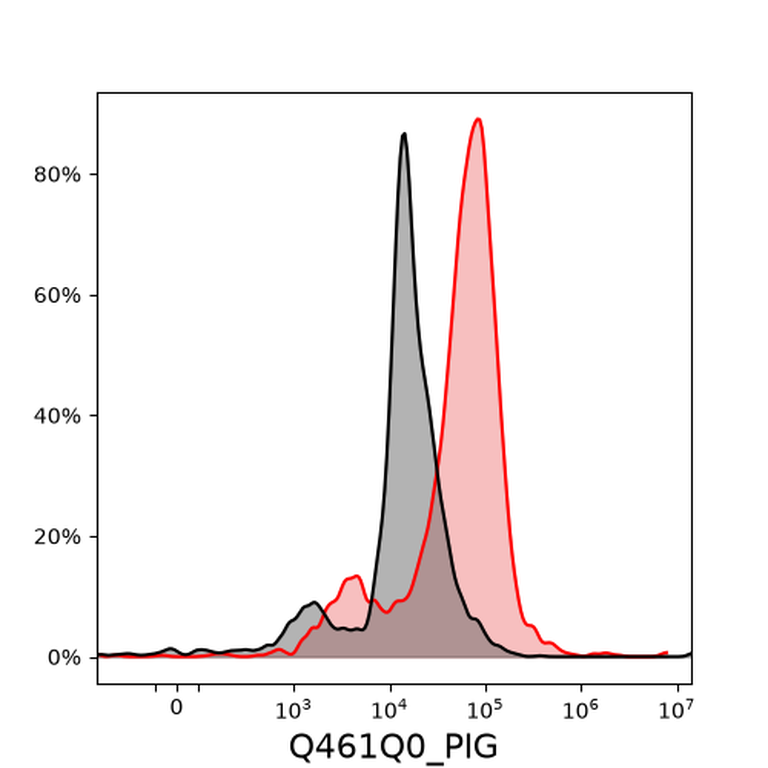 Ankyron Q461Q0_PIG Clone DQ40893