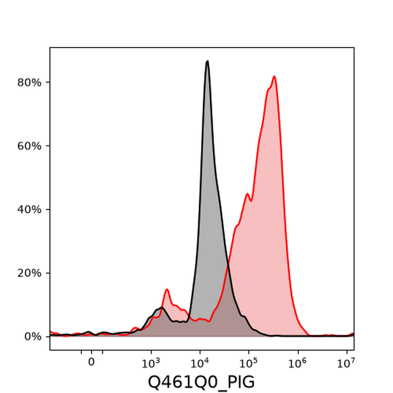Ankyron Q461Q0_PIG Clone DQ40896