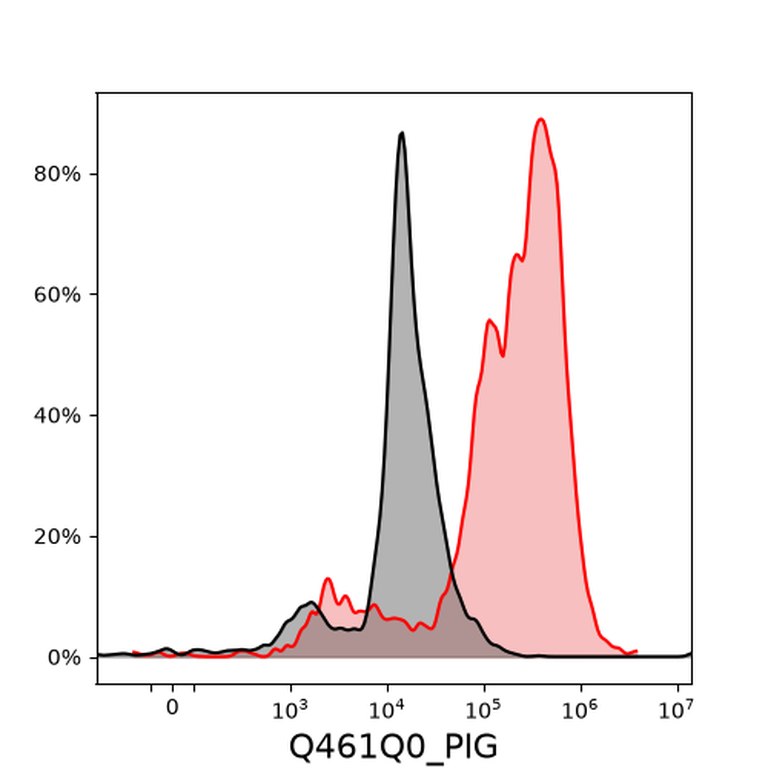 Ankyron Q461Q0_PIG Clone DQ40904