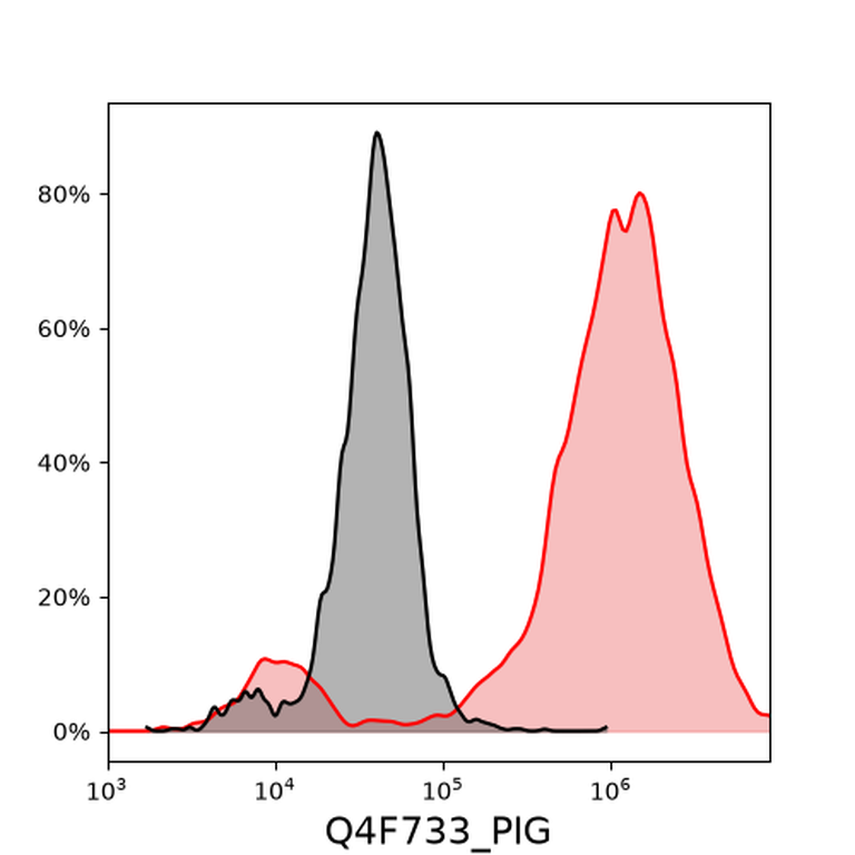 Ankyron Q4F733_PIG Clone DV40106