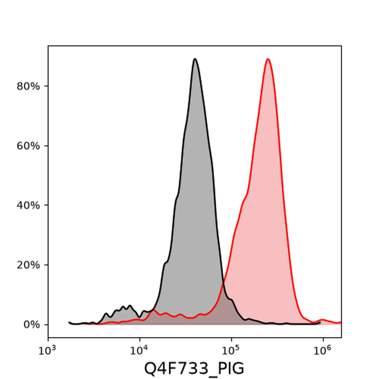 Ankyron Q4F733_PIG Clone DV40108