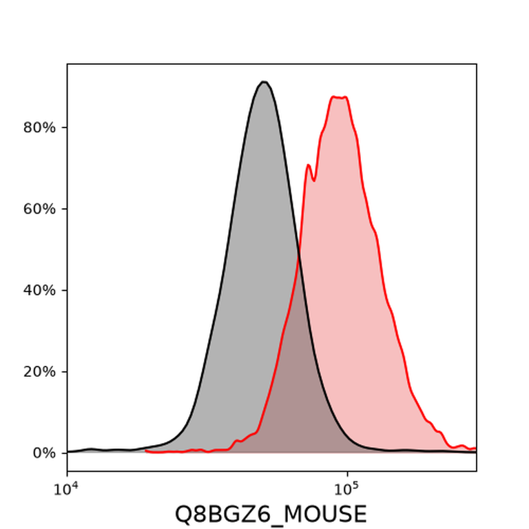 Ankyron Q8BGZ6_MOUSE Clone DC40909