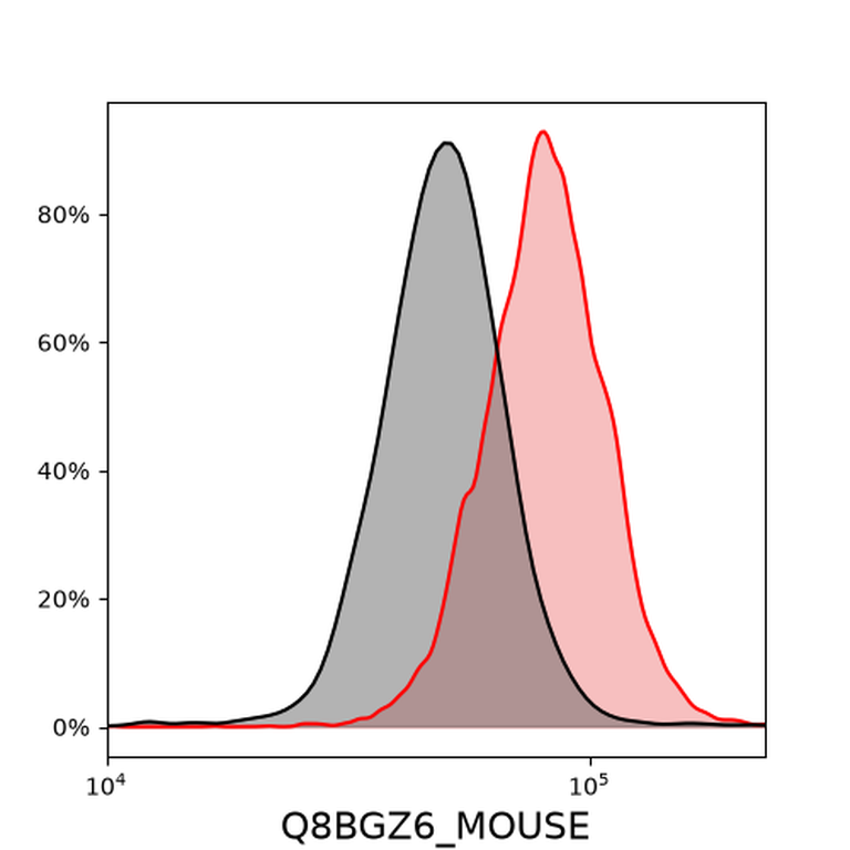 Ankyron Q8BGZ6_MOUSE Clone DC40910